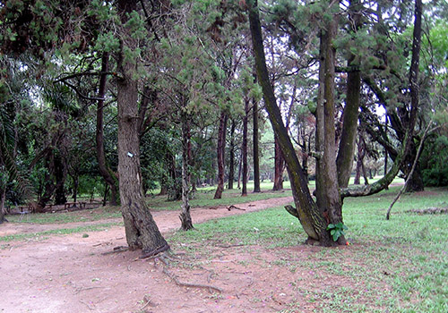 Kumasi Botanical Garden
