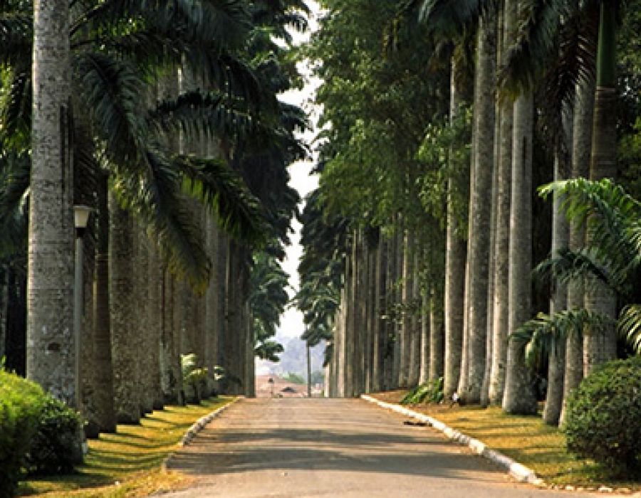 Aburi gardens