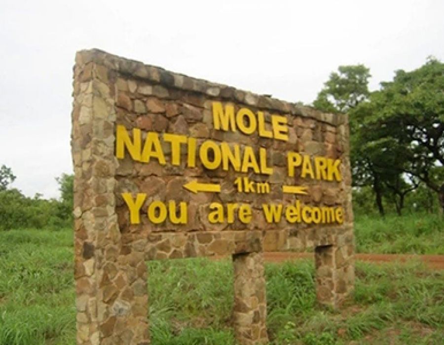 Mole national Park