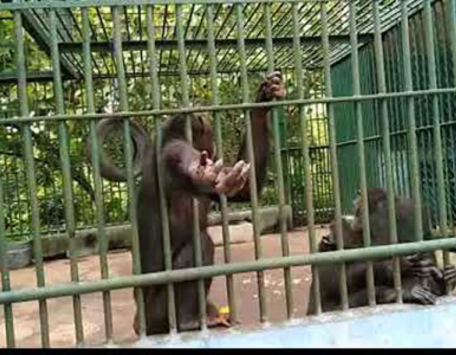 Kumasi Zoo