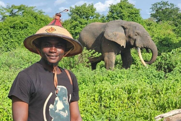Elephant Encounters: 3-Day Safari Experience by Air